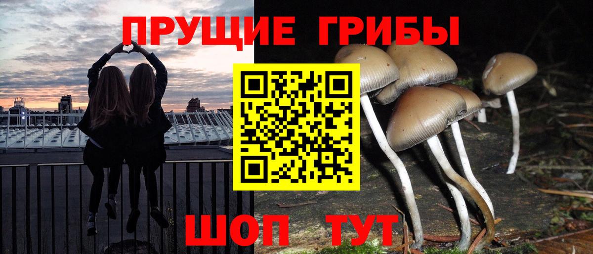 Псилоцибиновые грибы прущие грибы Красноармейск